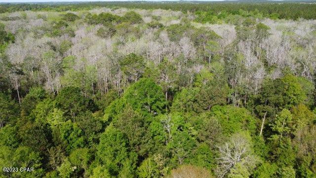 Lot 54 Alder Road Westville, FL 32464 - Photo 6 of 10