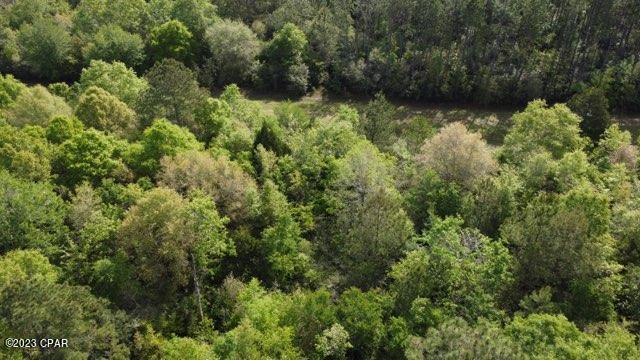 Lot 54 Alder Road Westville, FL 32464 - Photo 7 of 10