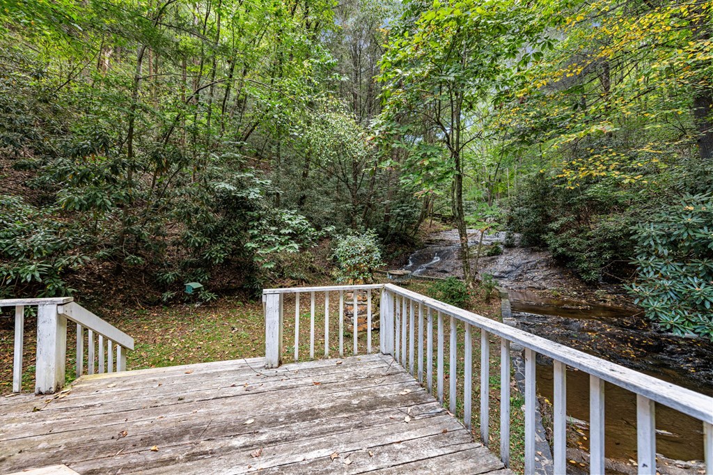 220 Old Ml Trace Blue Ridge, GA 30513 - Photo 65 of 78 Gallery Image 65