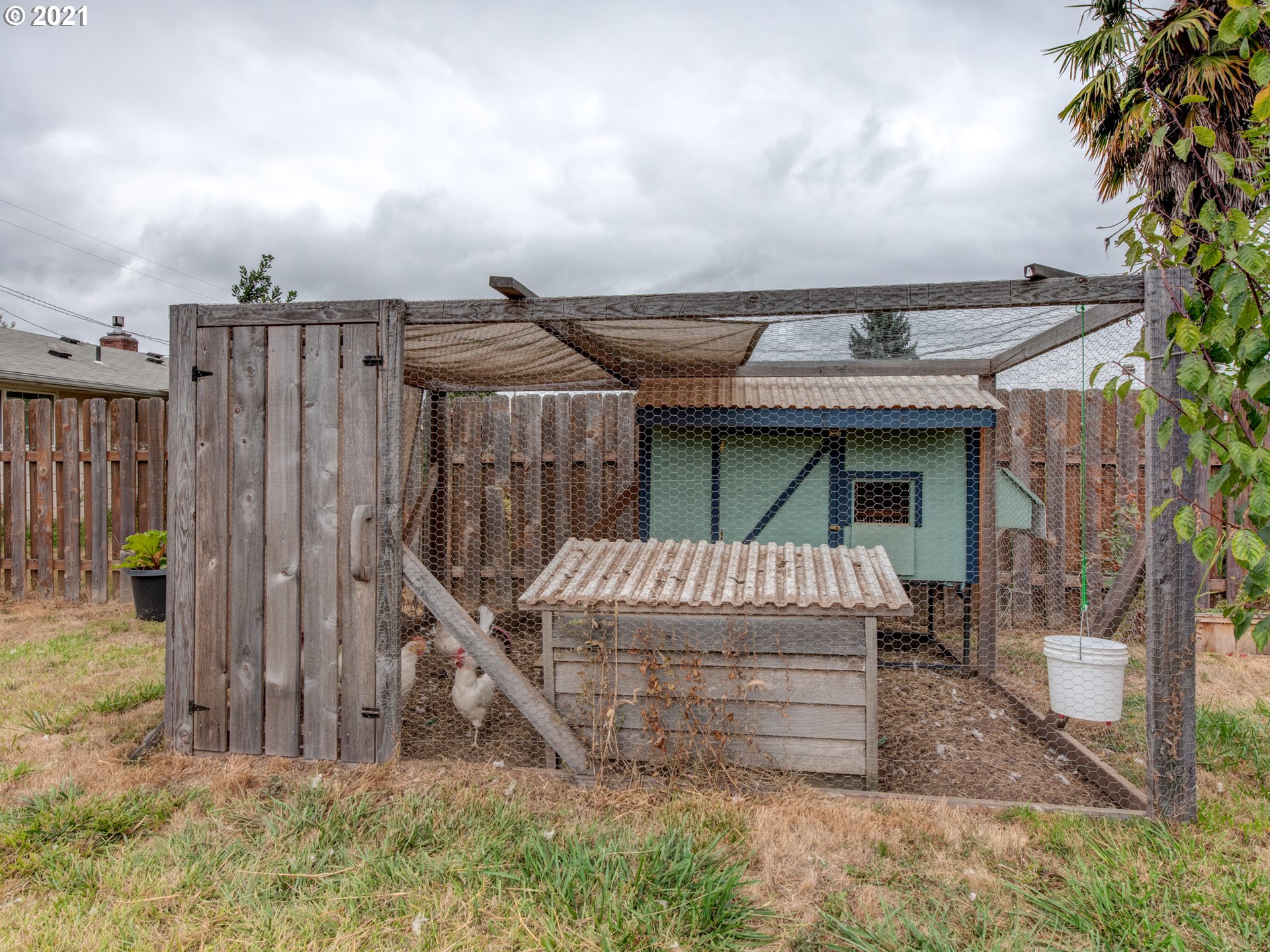 369 37th Street Springfield, OR 97478 - Photo 18 of 20
