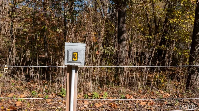 $337,500 | 11429 County Road 442, Redford, MO 63665