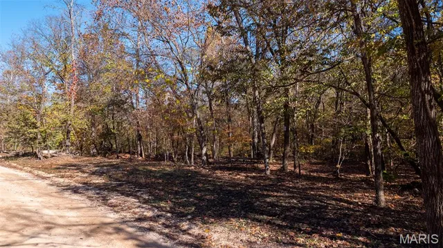$337,500 | 11429 County Road 442, Redford, MO 63665