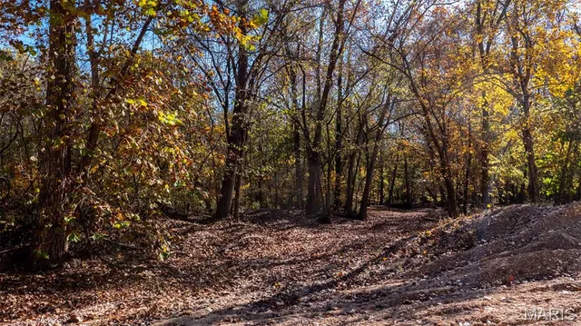 $337,500 | 11429 County Road 442, Redford, MO 63665