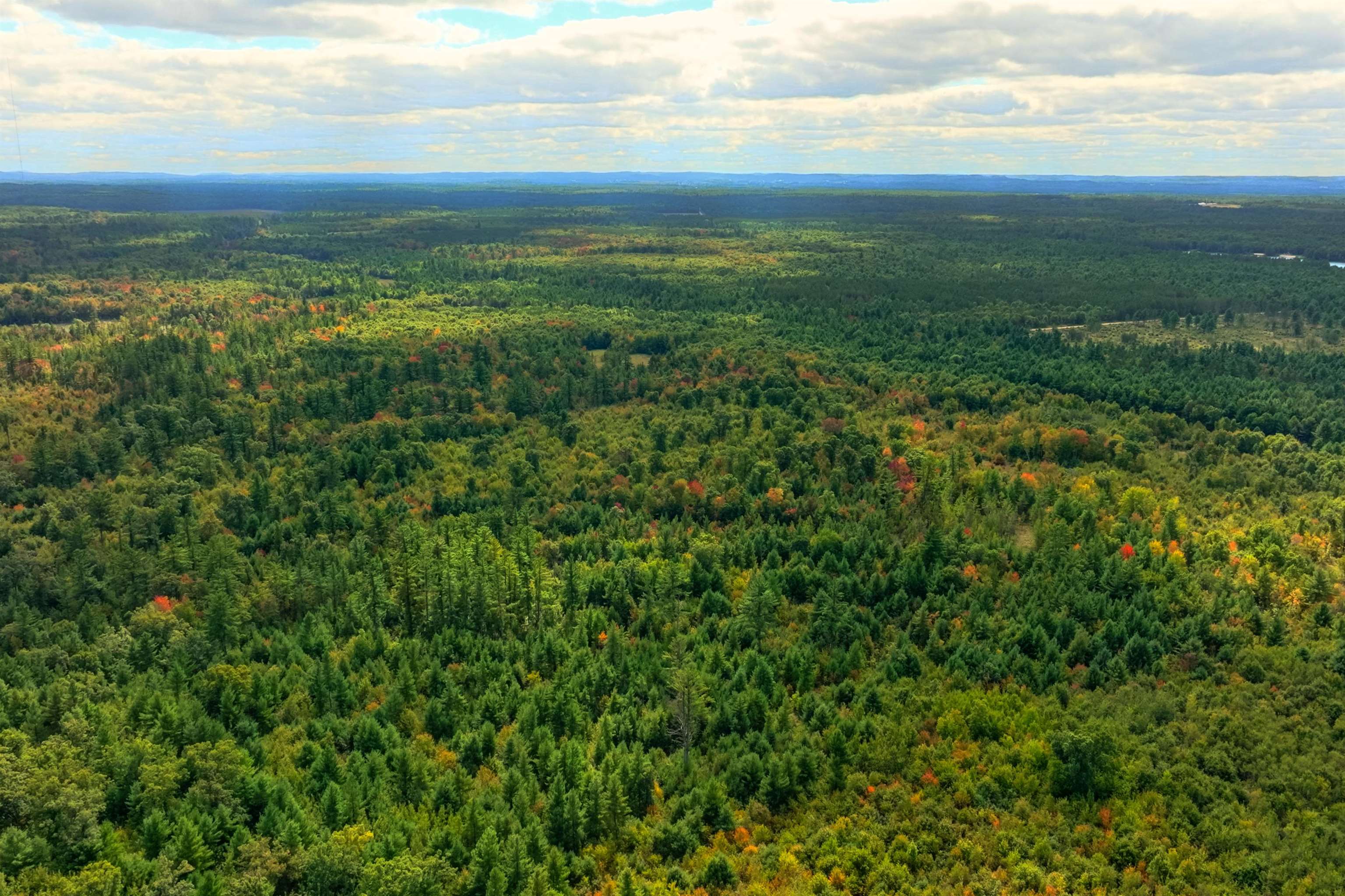 160-ac Goat Ranch Road Chippewa Falls, WI 54729 - Photo 6 of 31 Gallery Image 6