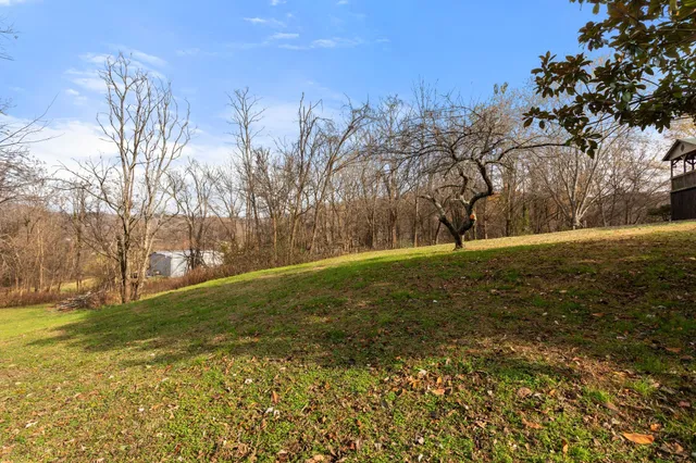 a view of yard with tree