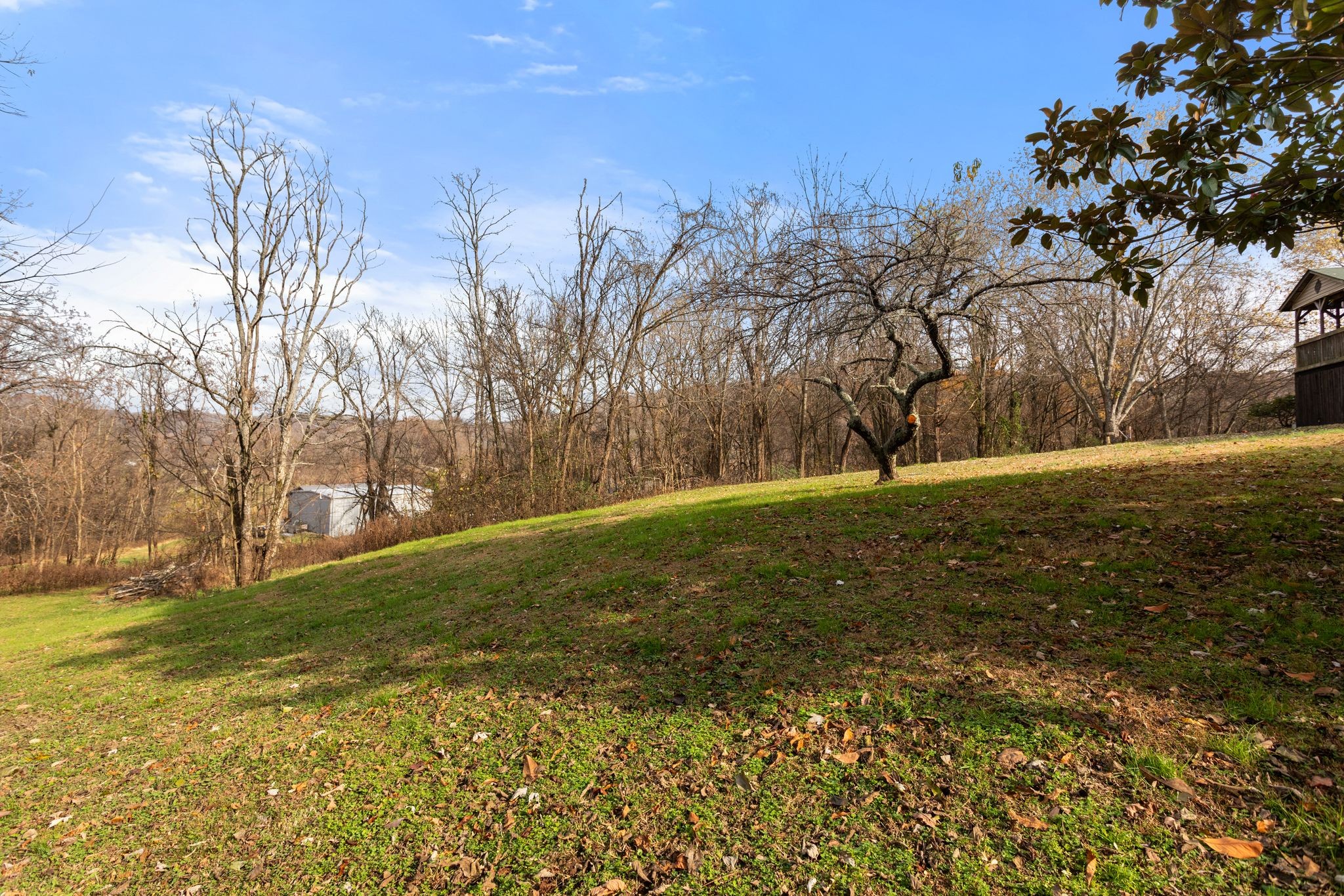 1892 Preacher Holt Road Mount Pleasant, TN 38474 - Photo 34 of 36 a view of yard with tree