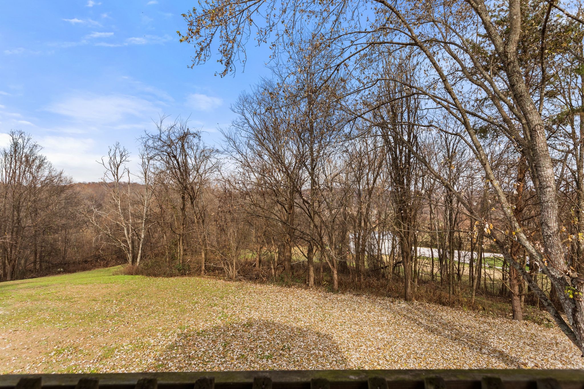 1892 Preacher Holt Road Mount Pleasant, TN 38474 - Photo 4 of 36 a view of large yard with large trees