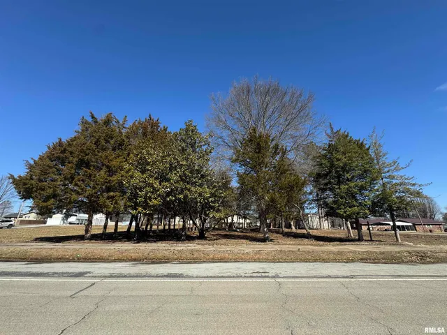 $2,500 | 0 Main Street, Valier, IL 62891