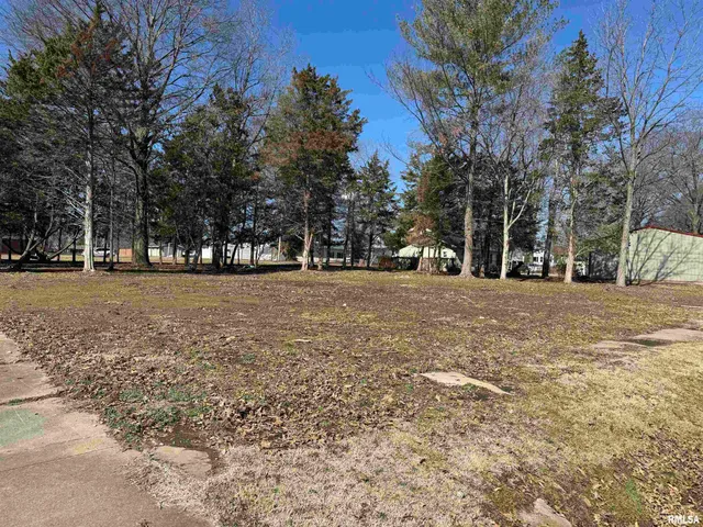 $2,500 | 0 Main Street, Valier, IL 62891