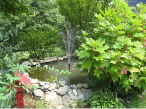 362 Bearfield Road Chuckey, TN 37641 - Photo 13 of 24 Photo 13