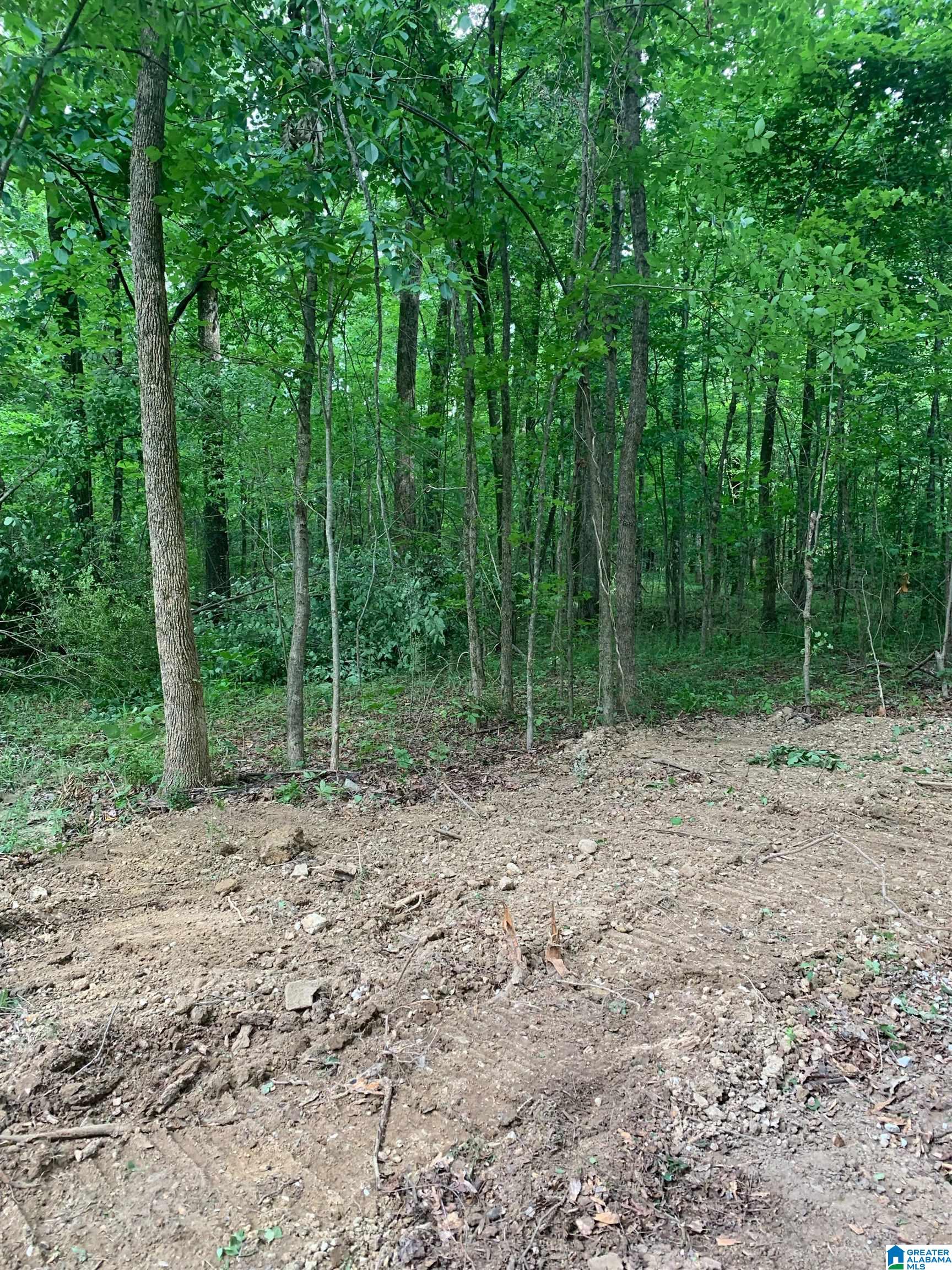 0 Highway 33 Pelham, AL 35124 - Photo 4 of 4