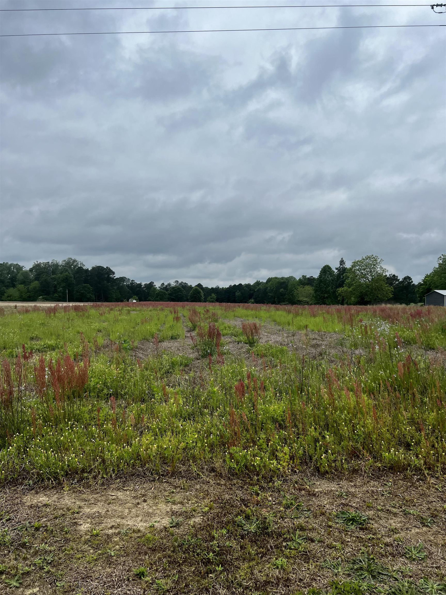0 Joe Collins Road Lillington, NC 27546 - Photo 2 of 5 Photo 2