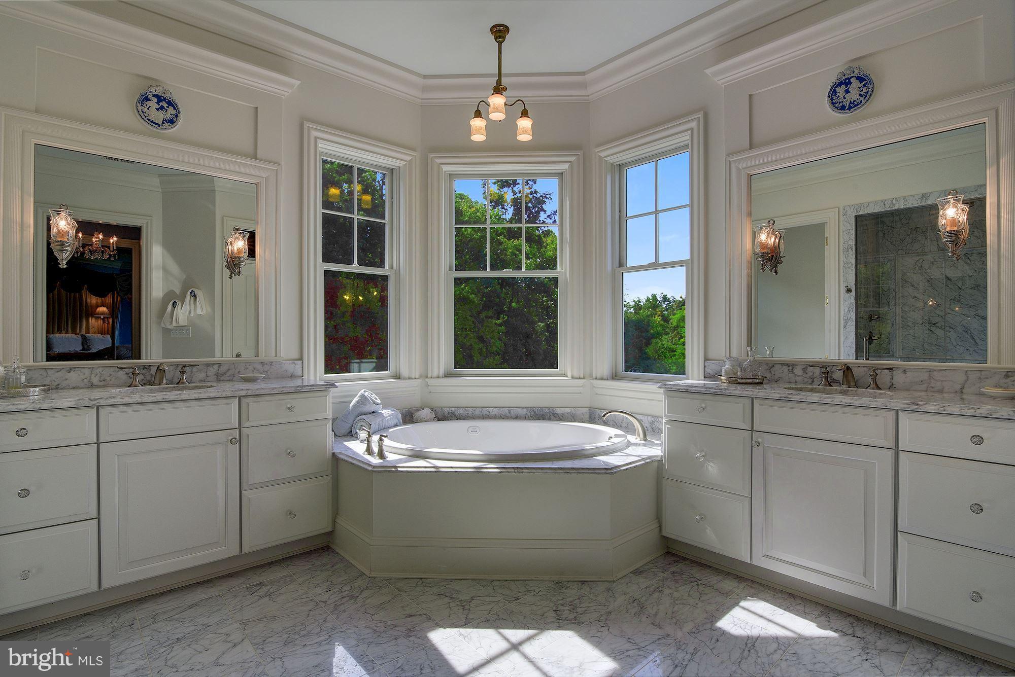 14301 Frederick Road Cooksville, MD 21723 - Photo 19 of 30 Bath (Master)