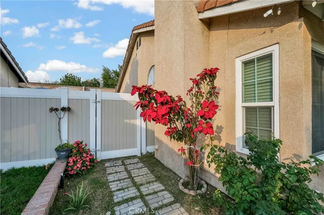 a flowers covered with flower plants