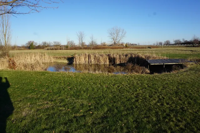 a view of a lake from a yard