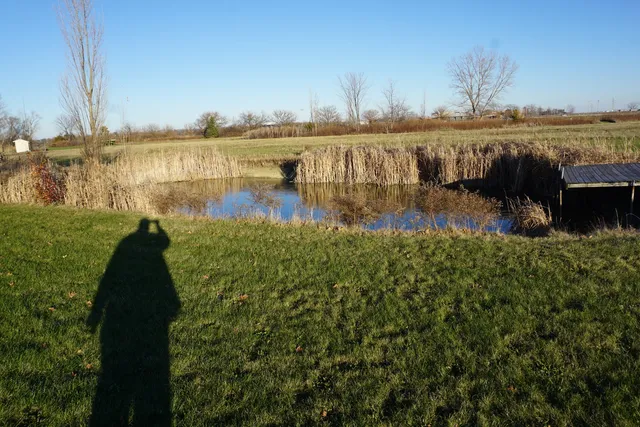 a front view of house with garden