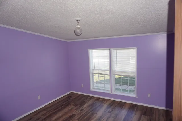 a bathroom with a shower and a toilet