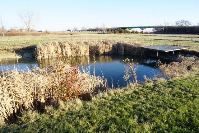 a view of a lake with couches in wooden floor