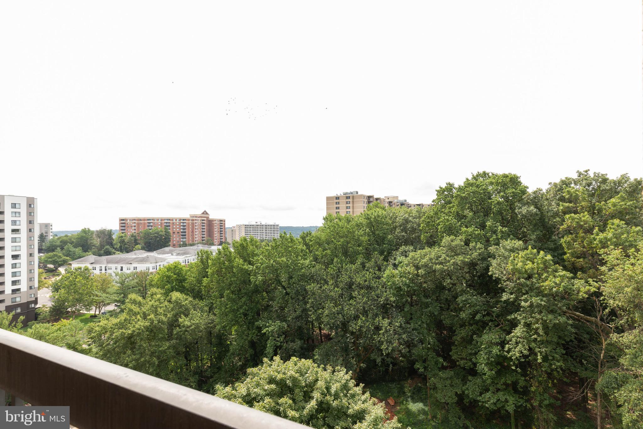 6300 Stevenson Avenue, Unit 907 Alexandria, VA 22304 - Photo 23 of 33