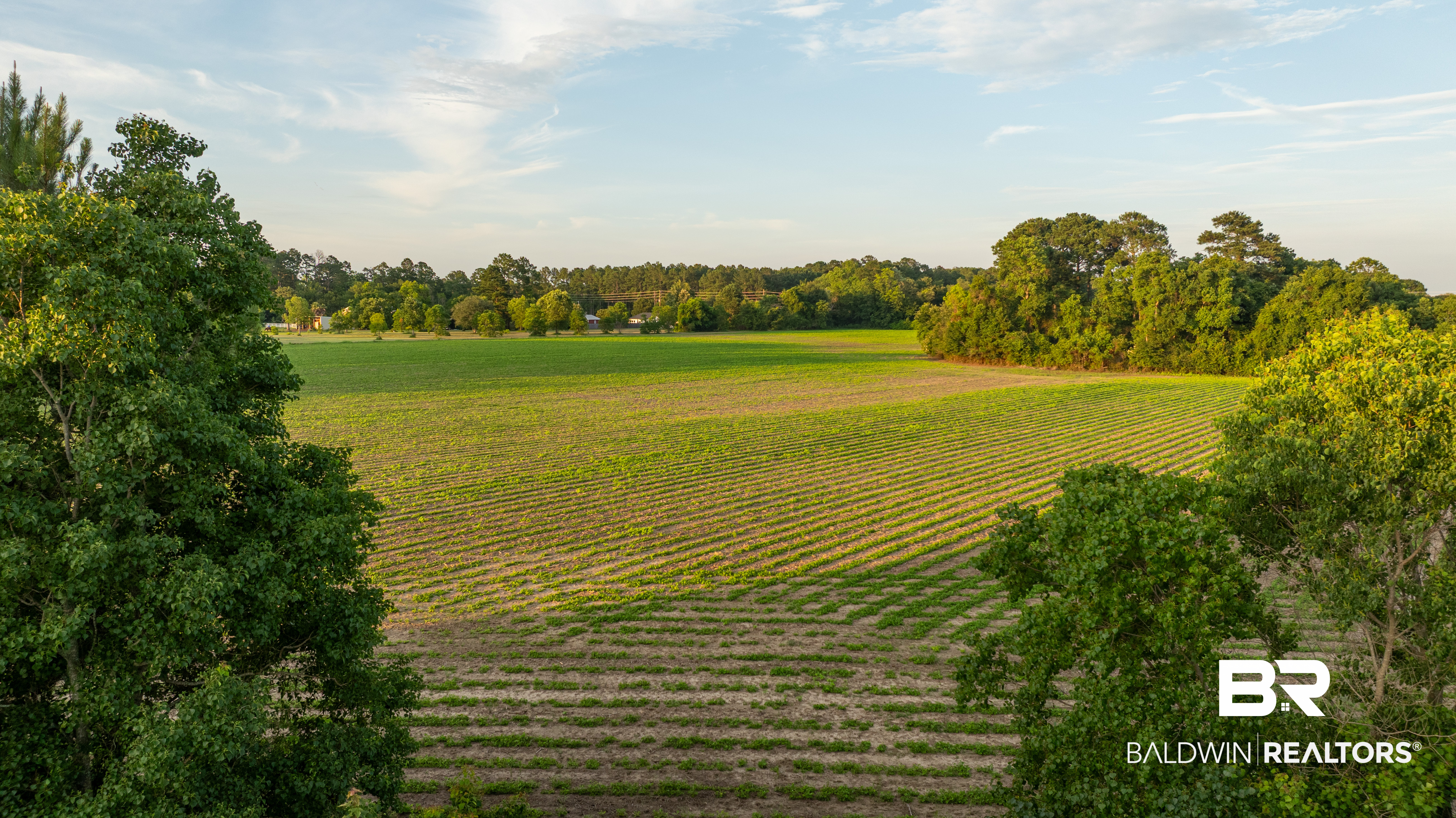0 Bromley Road Stapleton, AL 36578 - Photo 30 of 48 Gallery Image 30