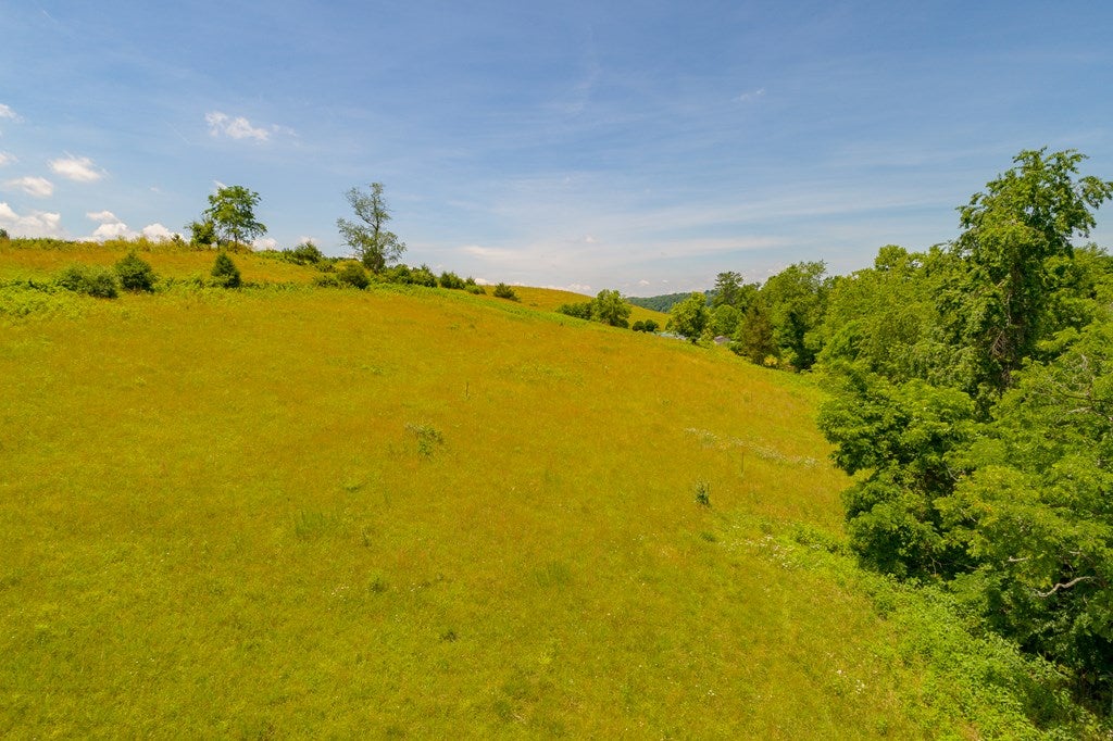 Tbd Pine Run Road, Unit 2 3 4&5 Draper, VA 24324 - Photo 20 of 41 Gallery Image 20