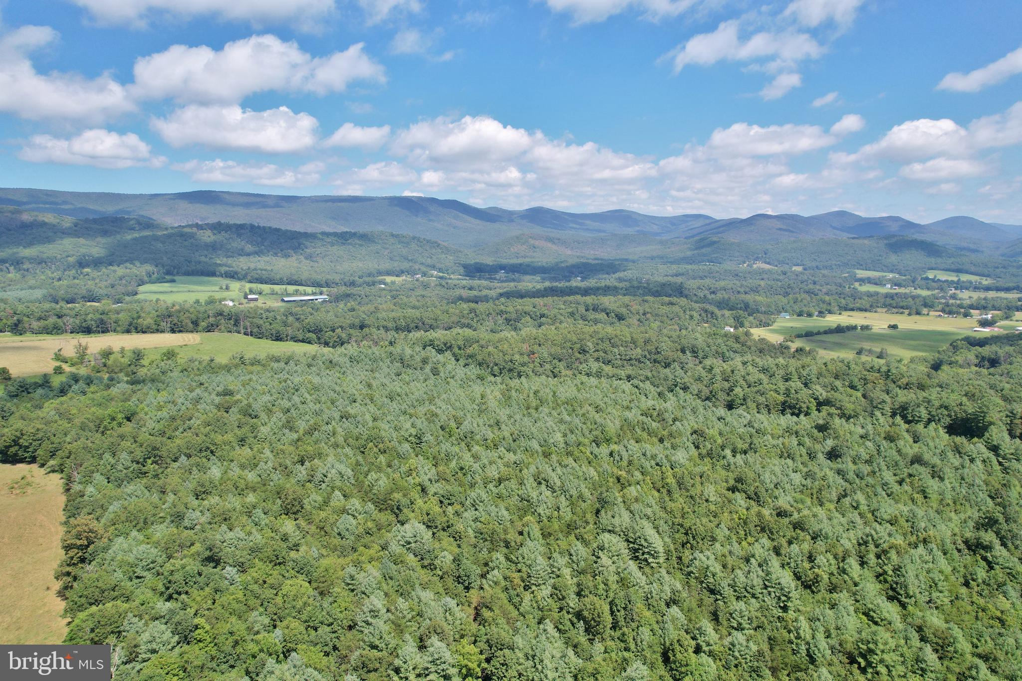 Alum Springs Road Edinburg, VA 22824 - Photo 1 of 20