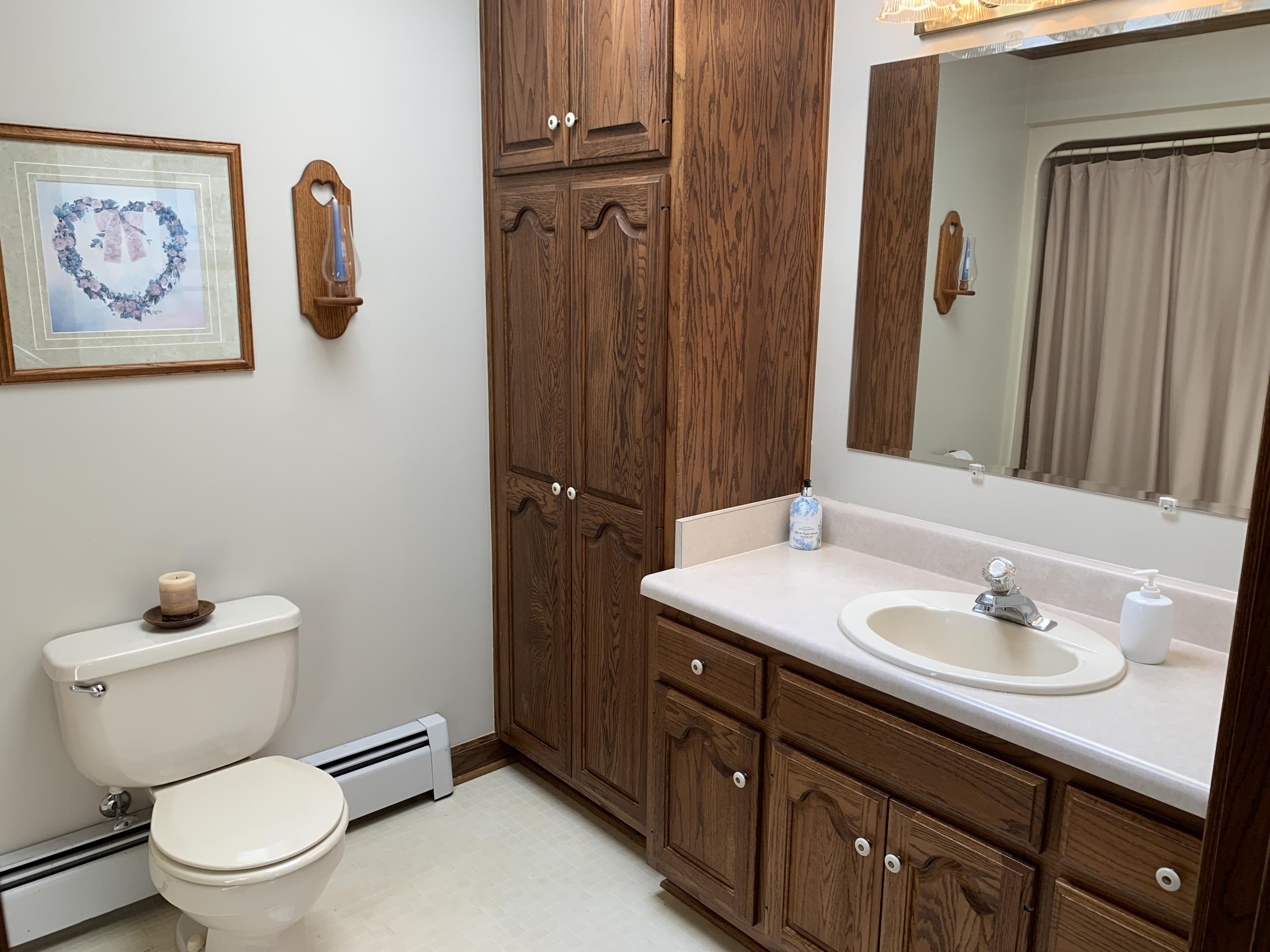 2335 Alean Road Wirtz, VA 24184 - Photo 12 of 101 10 Hall Bath (2)