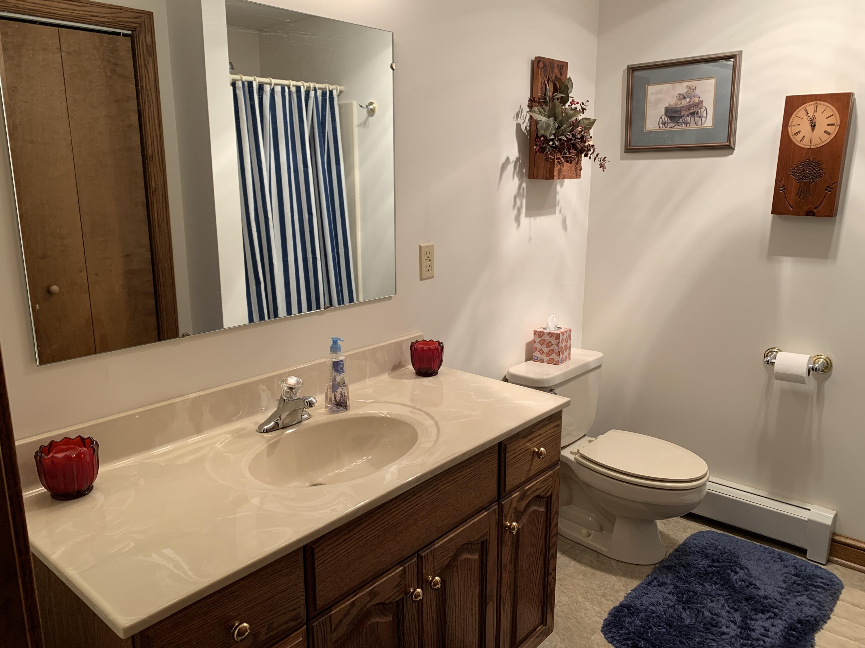 2335 Alean Road Wirtz, VA 24184 - Photo 16 of 101 14 Lower Level Bath (1)
