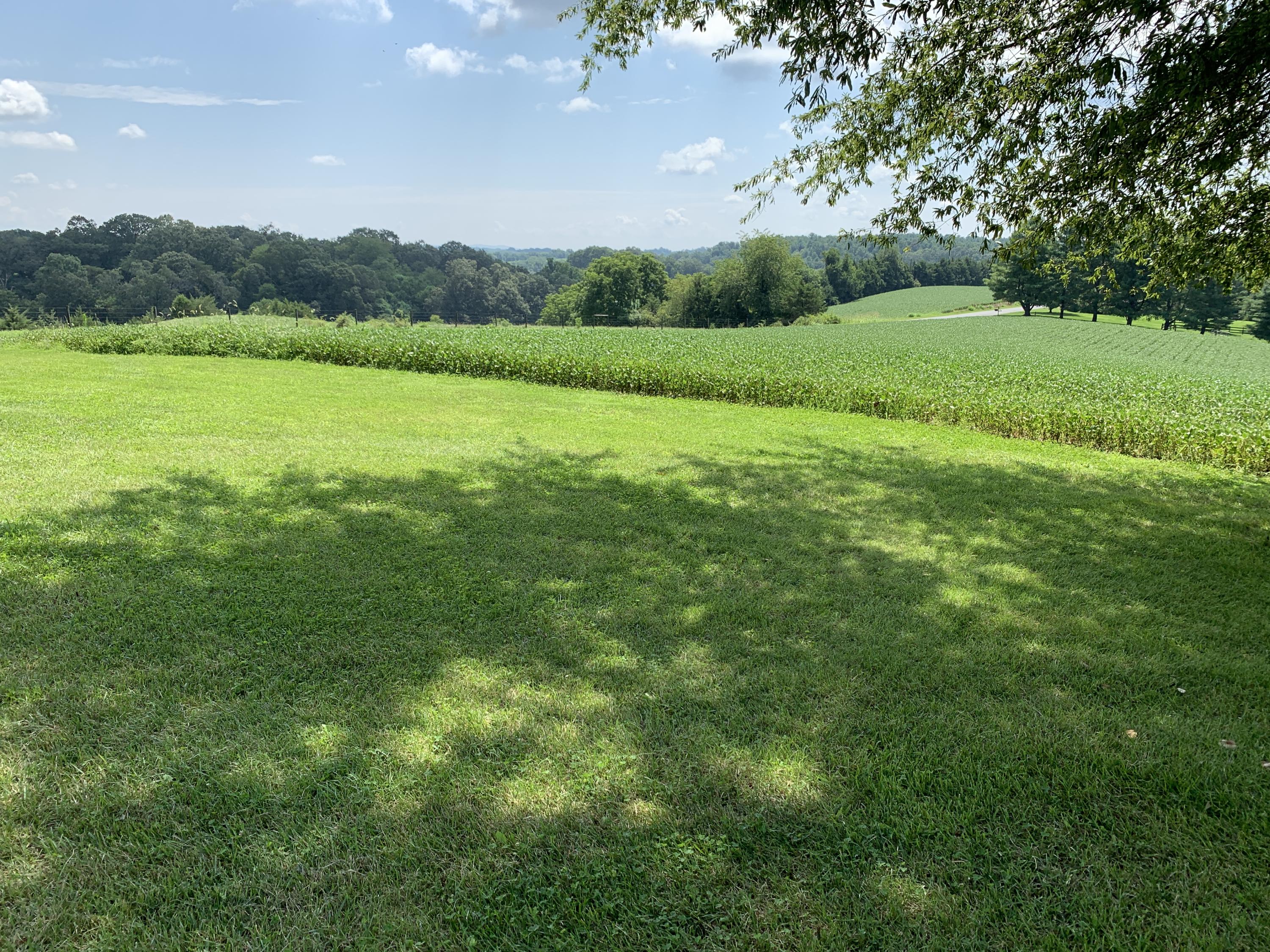 2335 Alean Road Wirtz, VA 24184 - Photo 35 of 101 31 Property