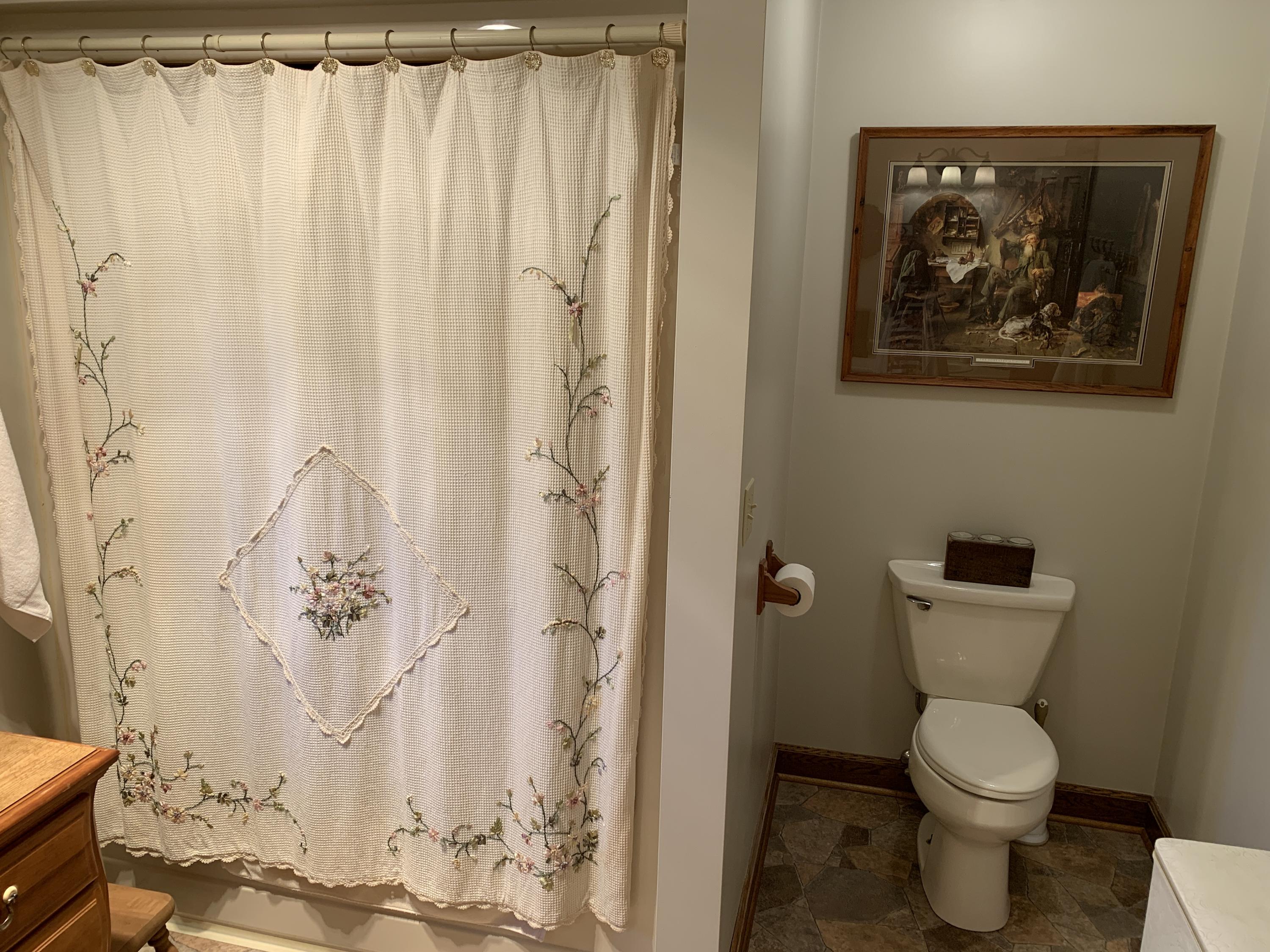 2335 Alean Road Wirtz, VA 24184 - Photo 48 of 101 44 Master Bath (5)