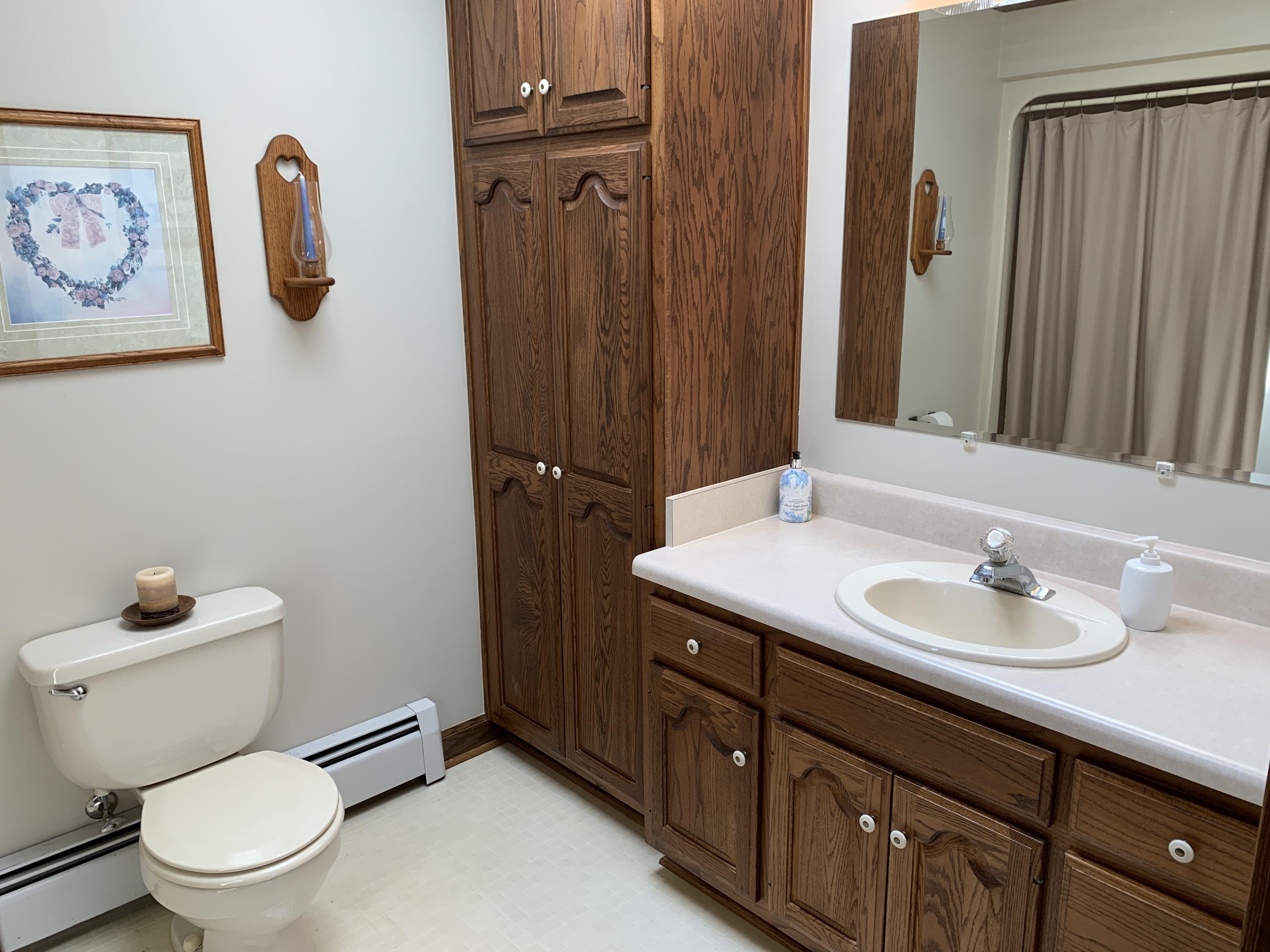 2335 Alean Road Wirtz, VA 24184 - Photo 53 of 101 47 Hall Bath (3)