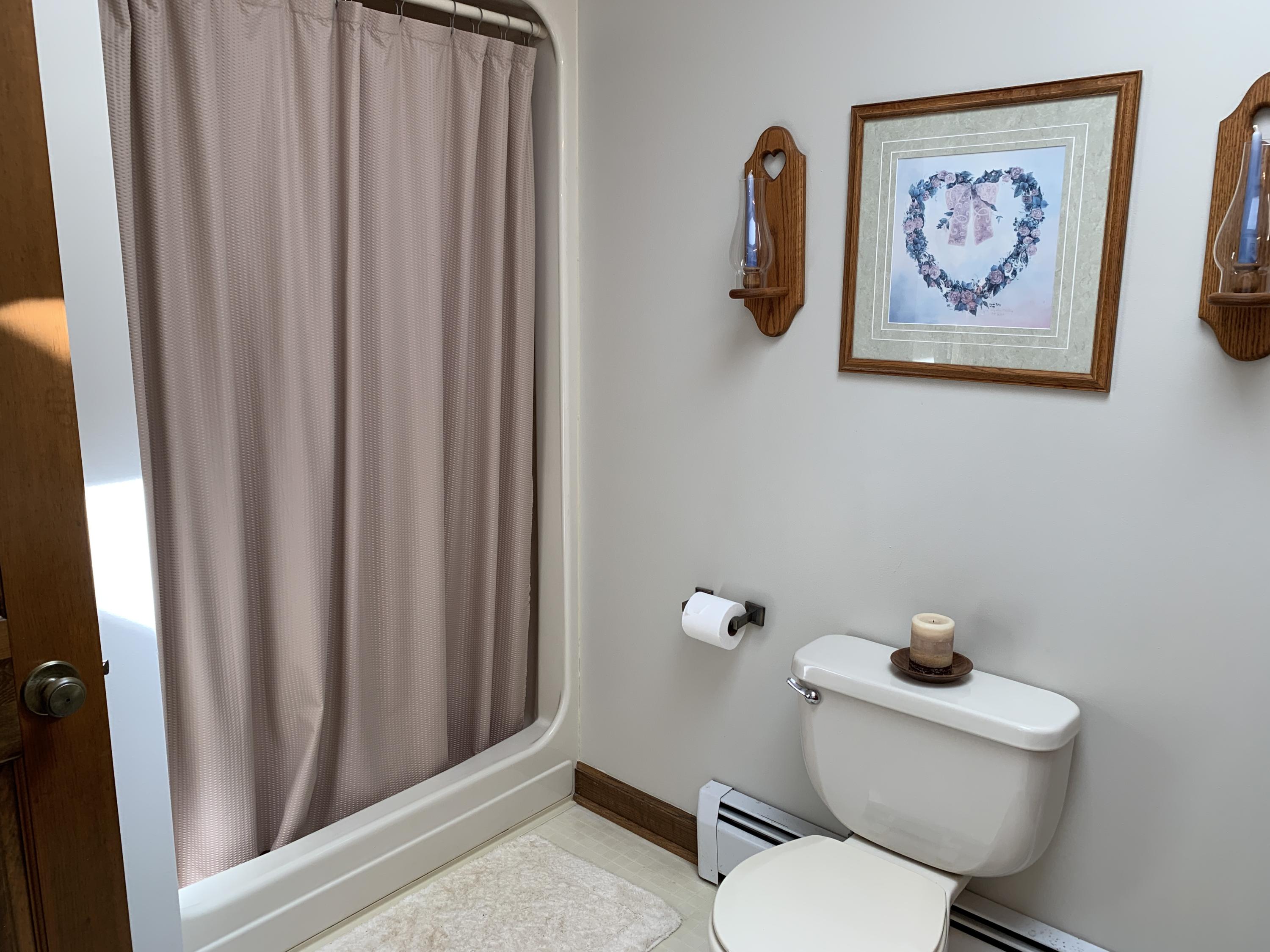2335 Alean Road Wirtz, VA 24184 - Photo 54 of 101 48 Hall Bath (5)