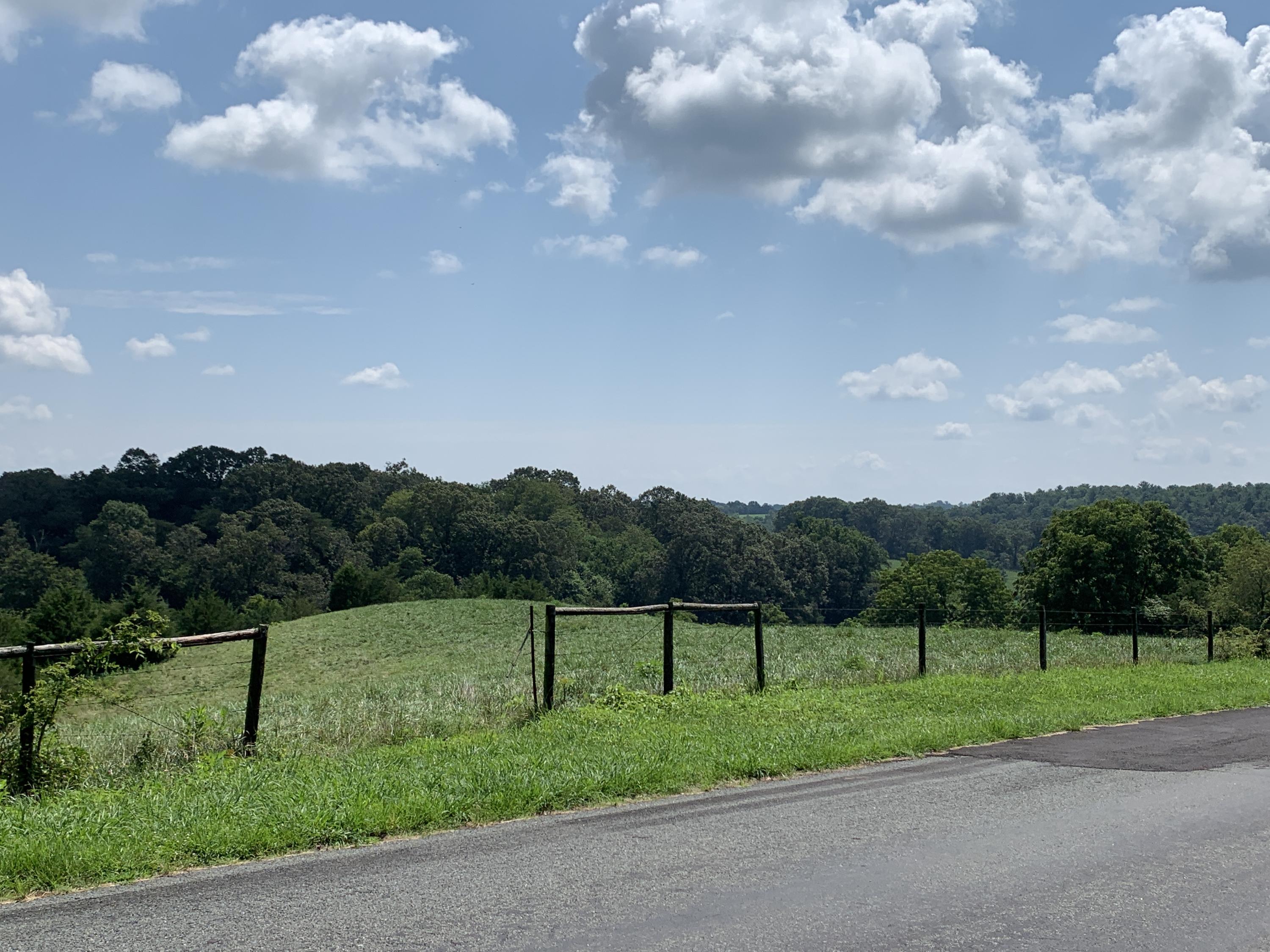 2335 Alean Road Wirtz, VA 24184 - Photo 81 of 101 75 Property