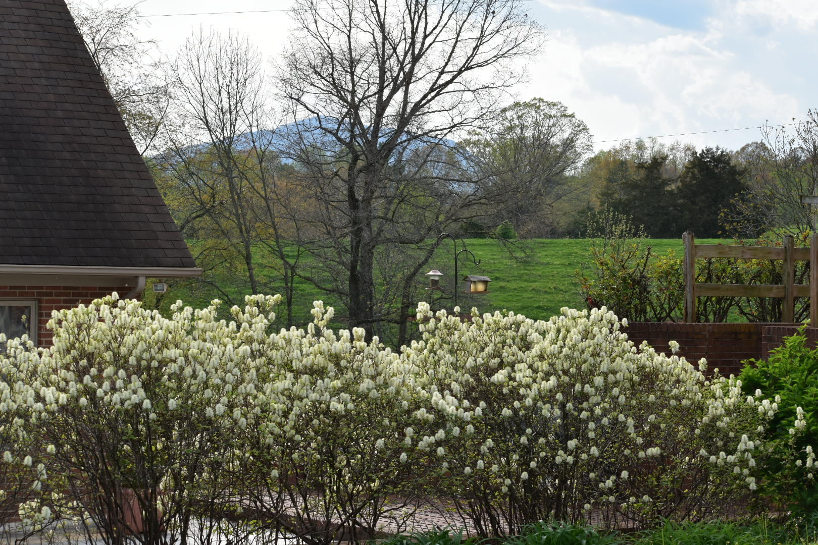 2335 Alean Road Wirtz, VA 24184 - Photo 88 of 101 Landscaping