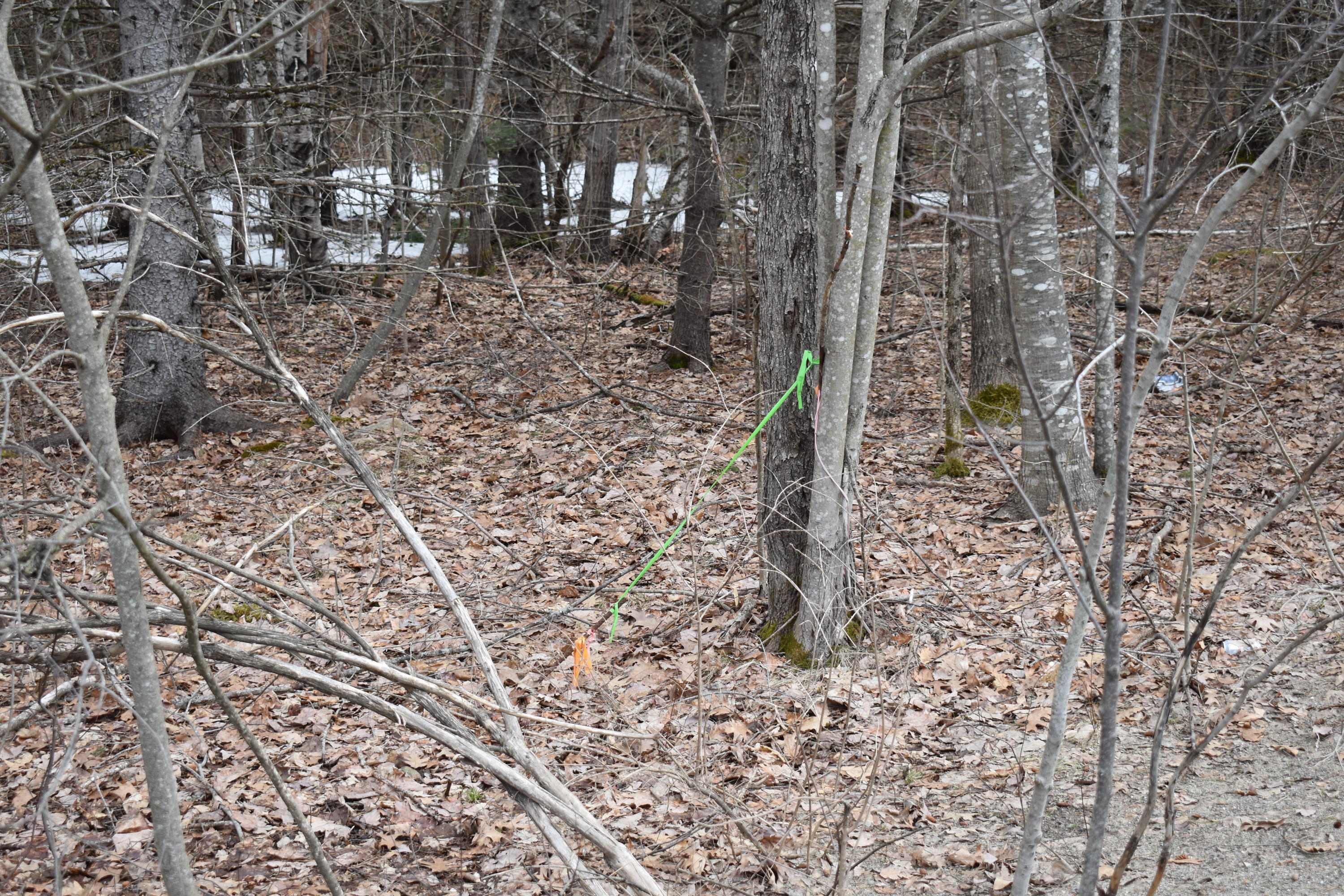 2 Tbd Map Road Enfield, ME 04493 - Photo 2 of 5 DSC_0092