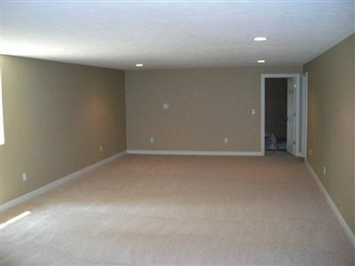 446 Sayers Lake Road Ionia, MI 48846 - Photo 4 of 6 Additional Photo