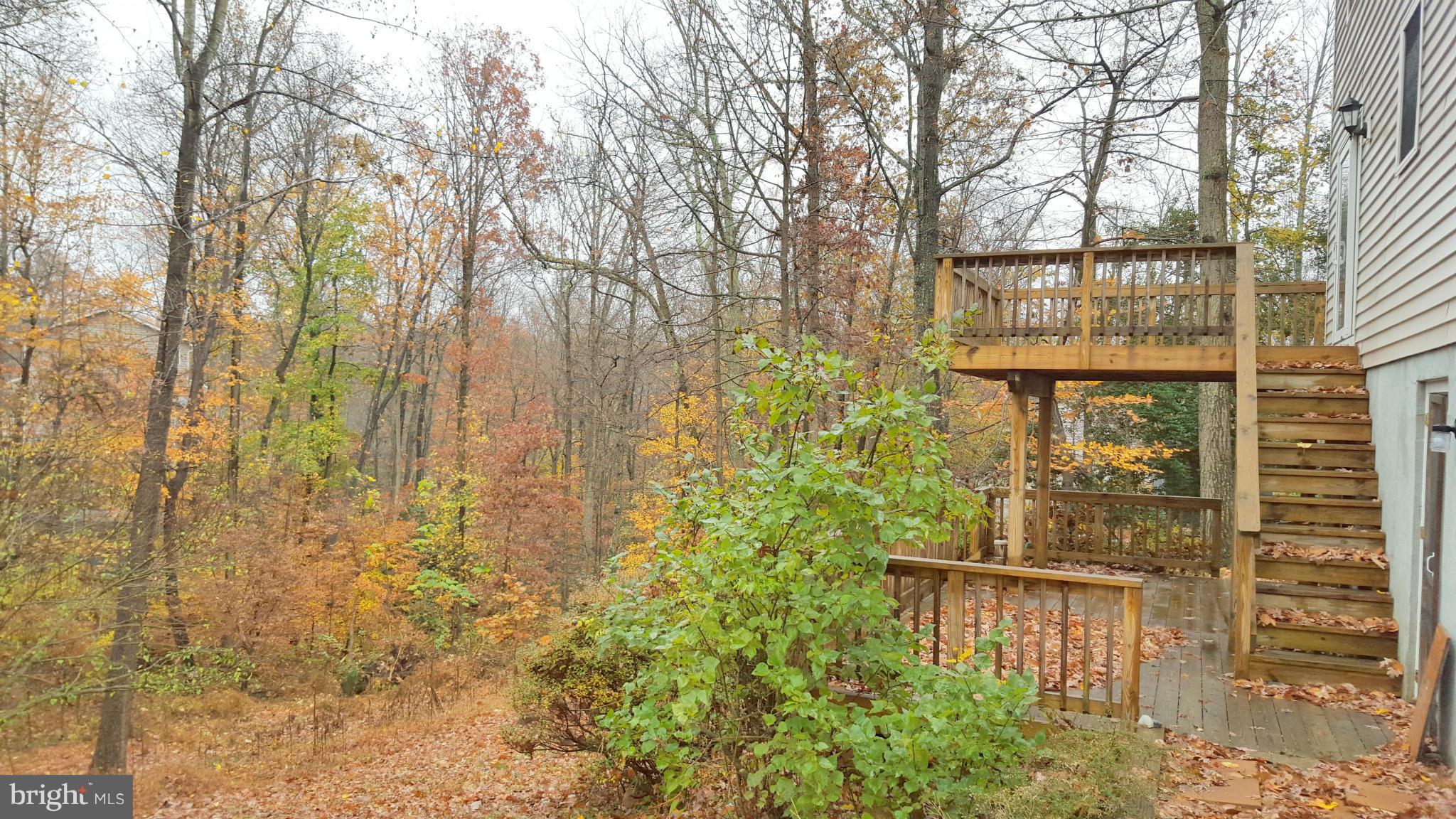 627 Running Fox Road Lusby, MD 20657 - Photo 19 of 30 Exterior (Rear)