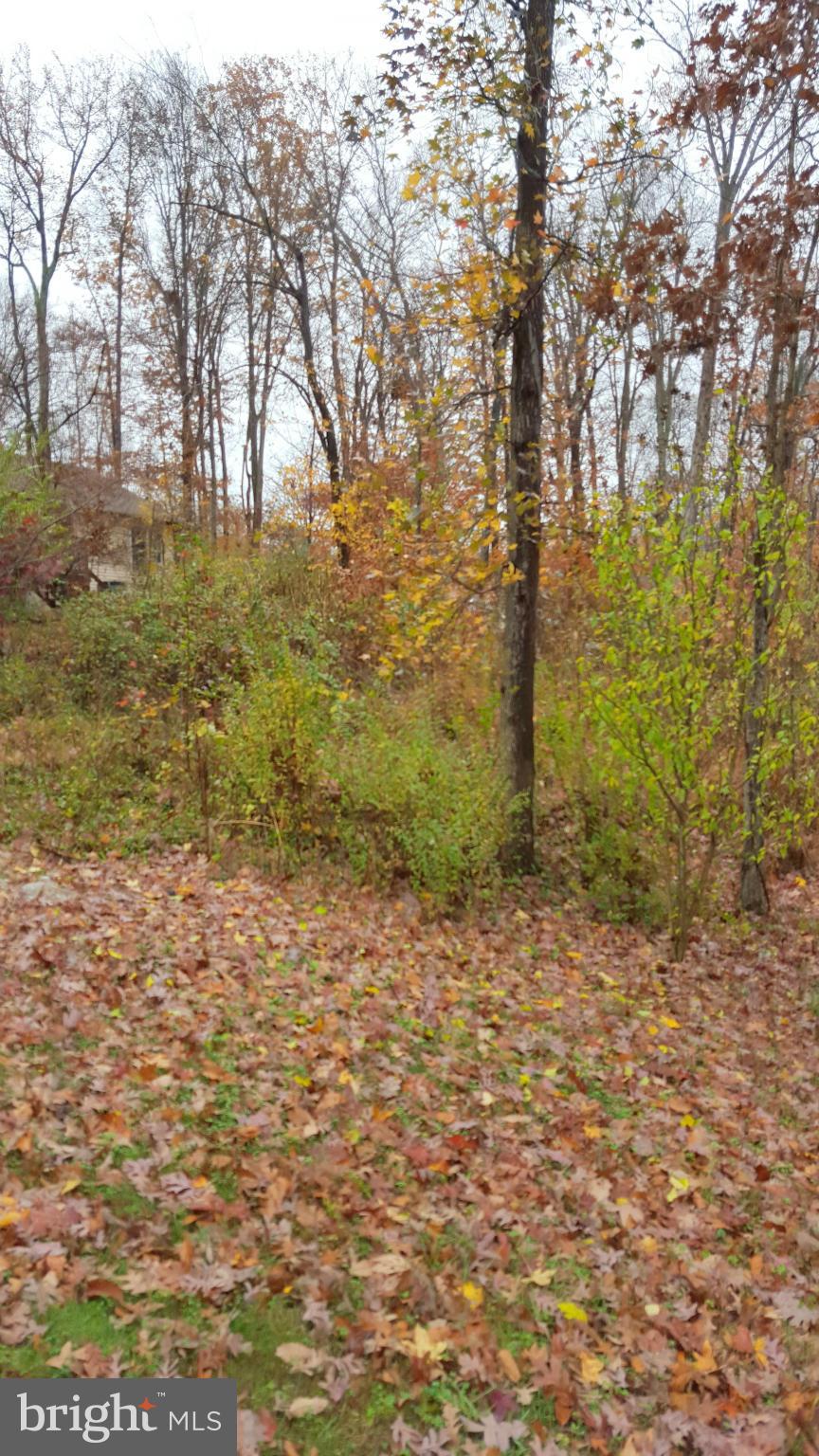627 Running Fox Road Lusby, MD 20657 - Photo 21 of 30 Exterior (Rear)