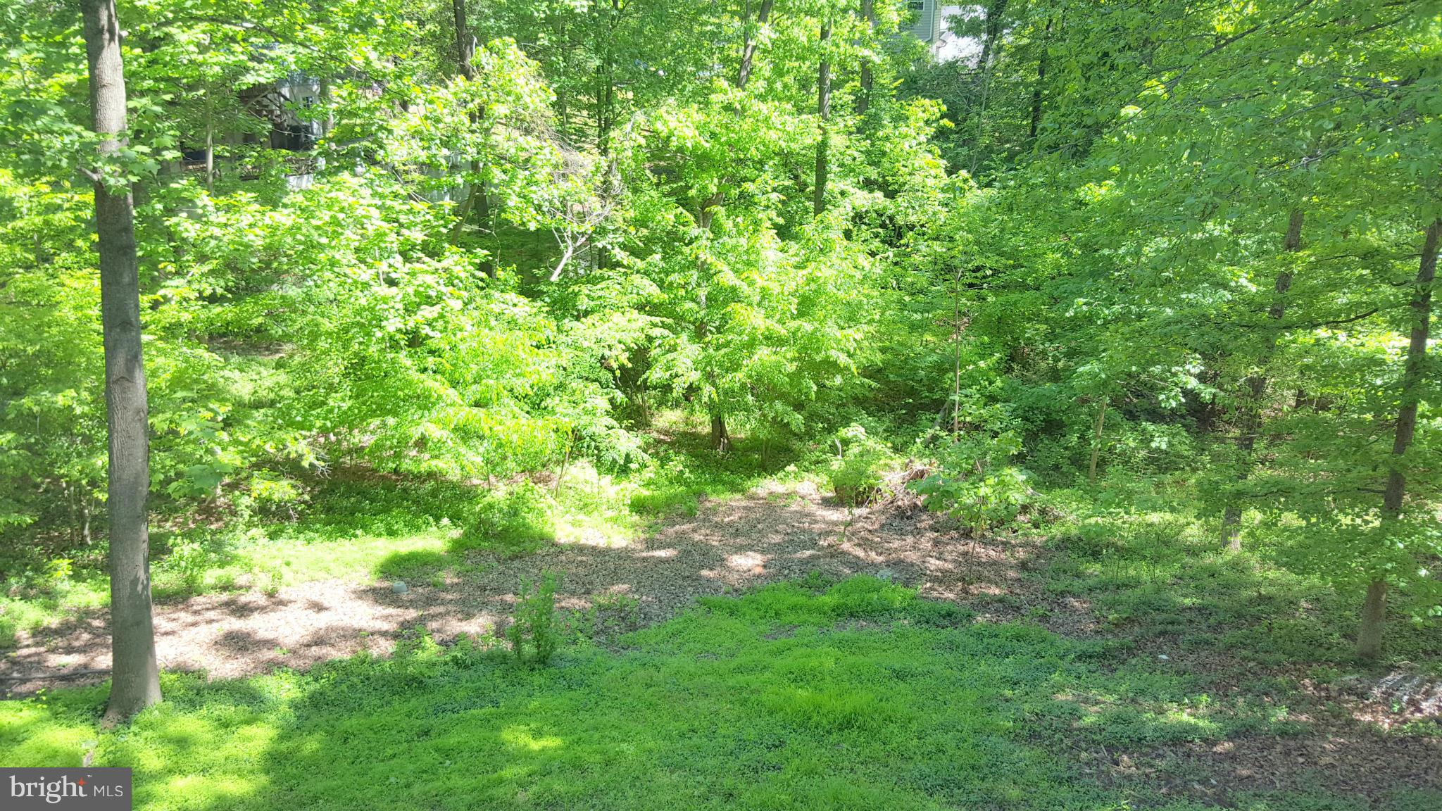 627 Running Fox Road Lusby, MD 20657 - Photo 26 of 30 Exterior (Rear)