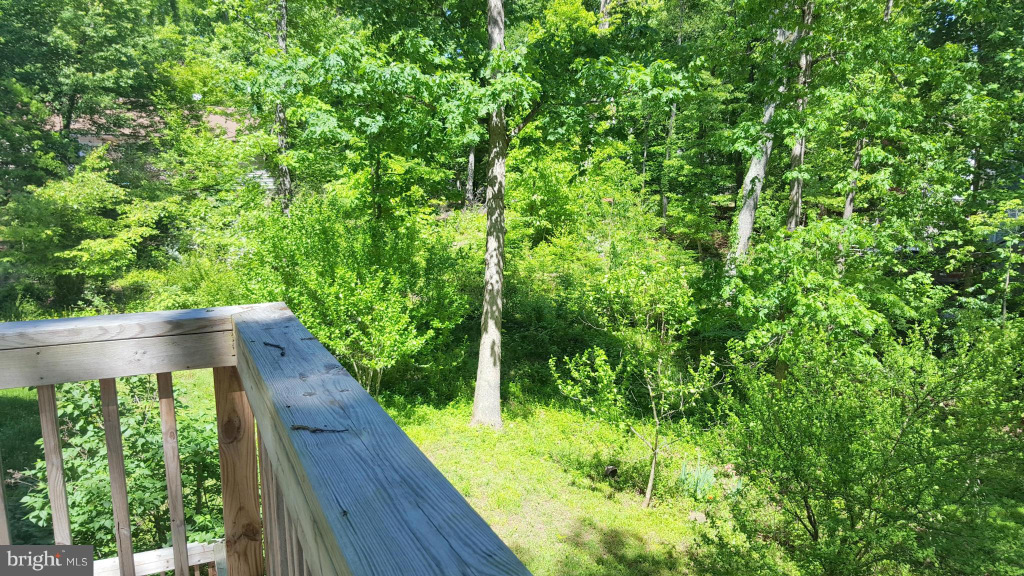 627 Running Fox Road Lusby, MD 20657 - Photo 27 of 30 Exterior (Rear)