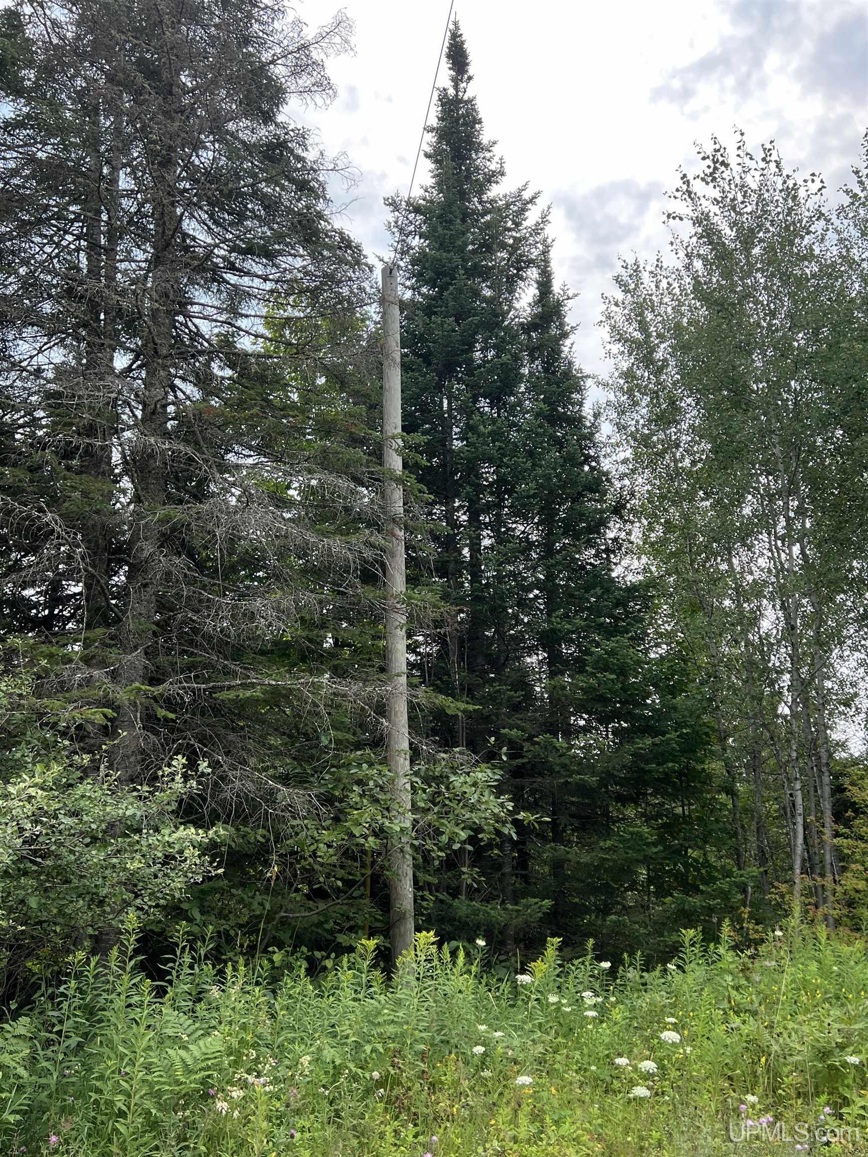 Tbd 40 A Tapio Road Chassell, MI 49916 - Photo 7 of 11