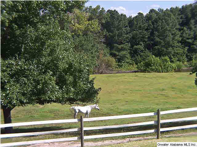 213 Lake Road Oneonta, AL 35121 - Photo 1 of 32