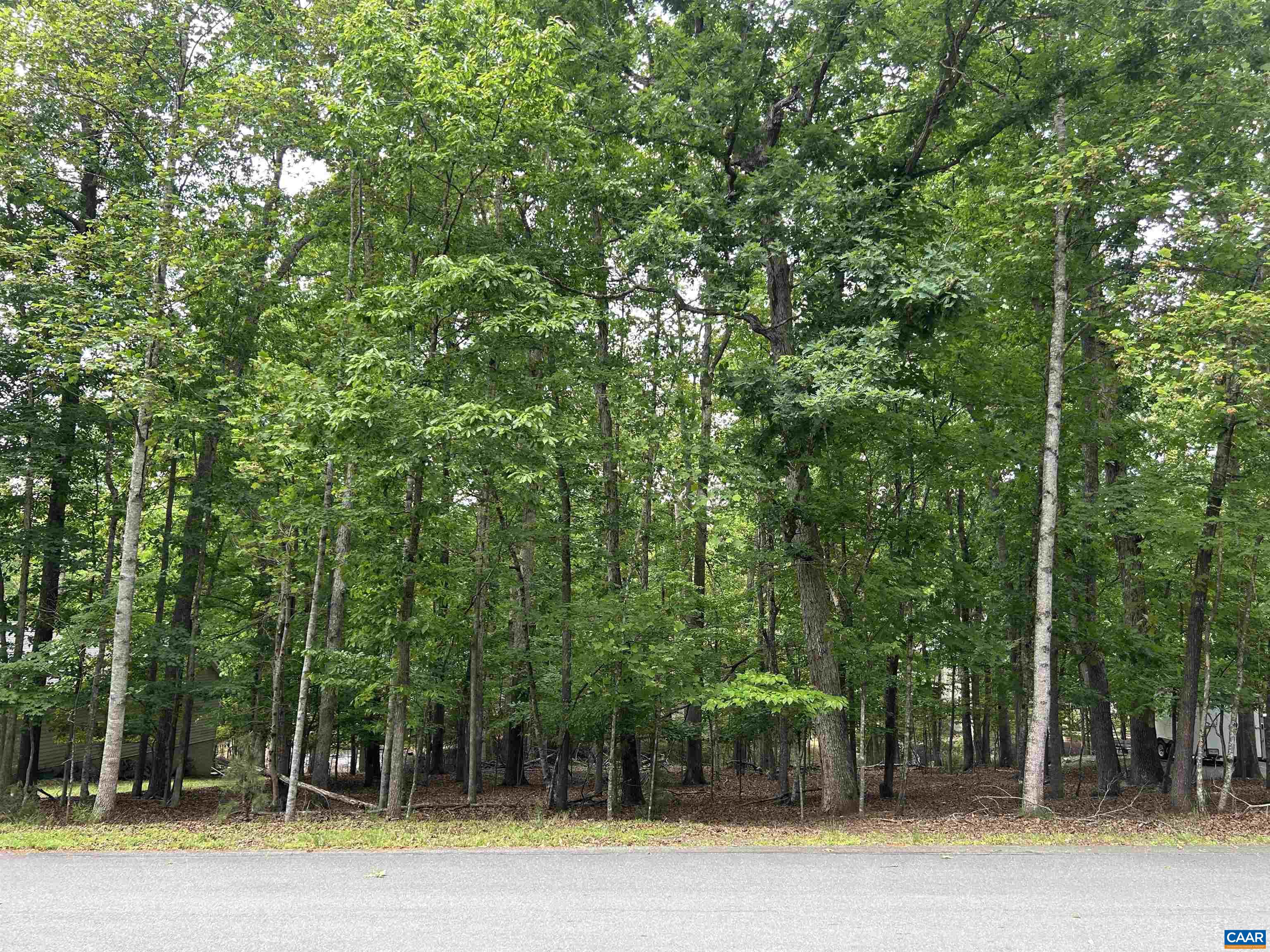25 Laguna Road Palmyra, VA 22963 - Photo 2 of 2 a view of a house with a big yard and large trees