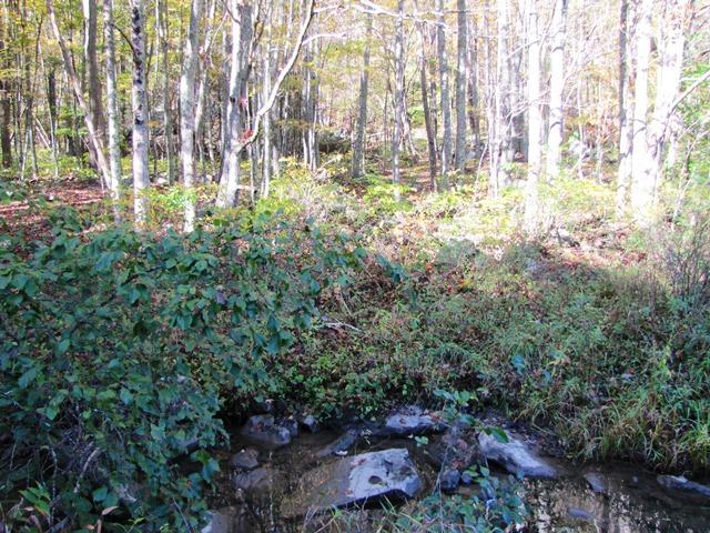 Laurel Creek Road Wayside, WV 24985 - Photo 28 of 28 Gallery Image 28