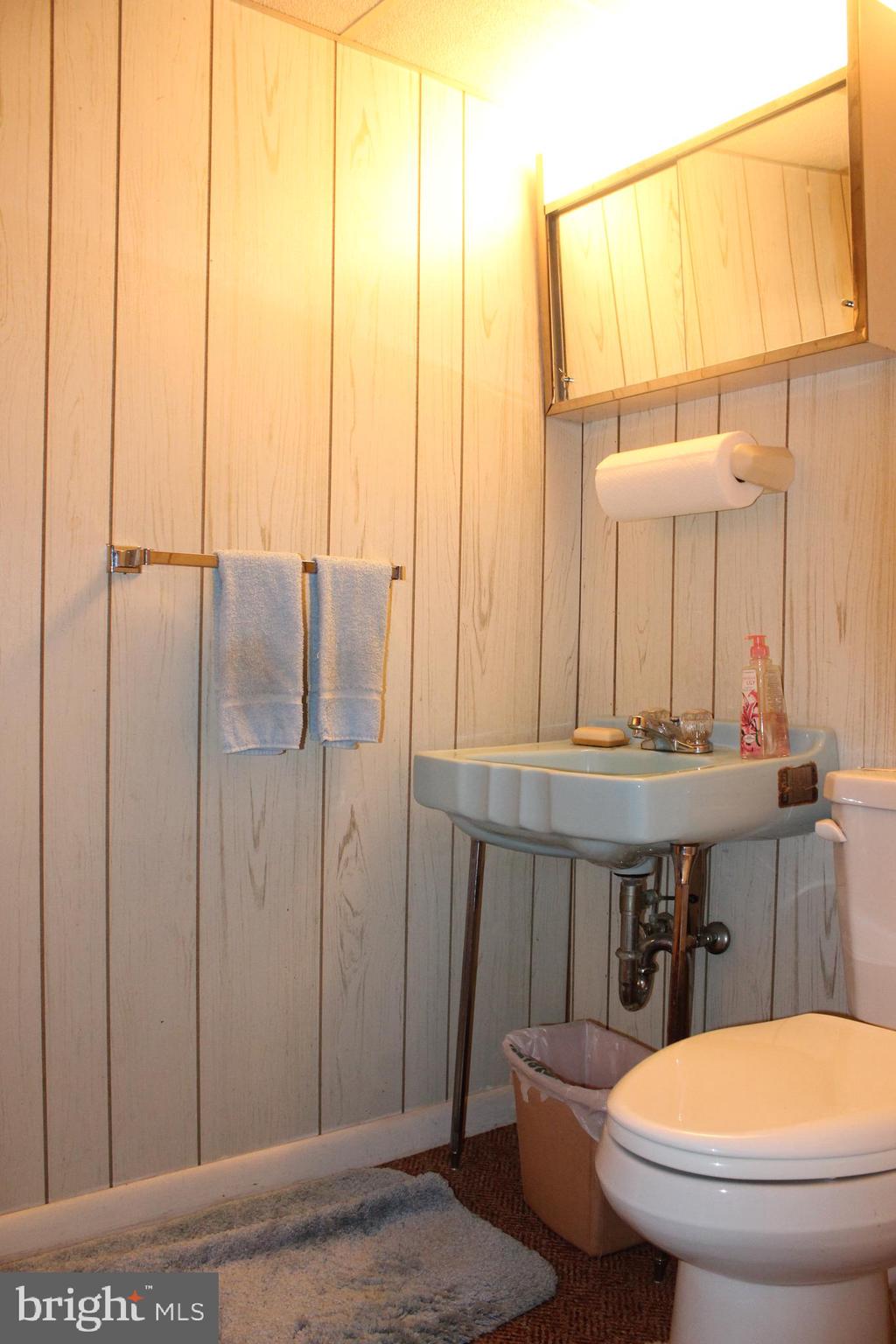 345 East Lexington Road Lititz, PA 17543 - Photo 20 of 41 Lower Level Bath