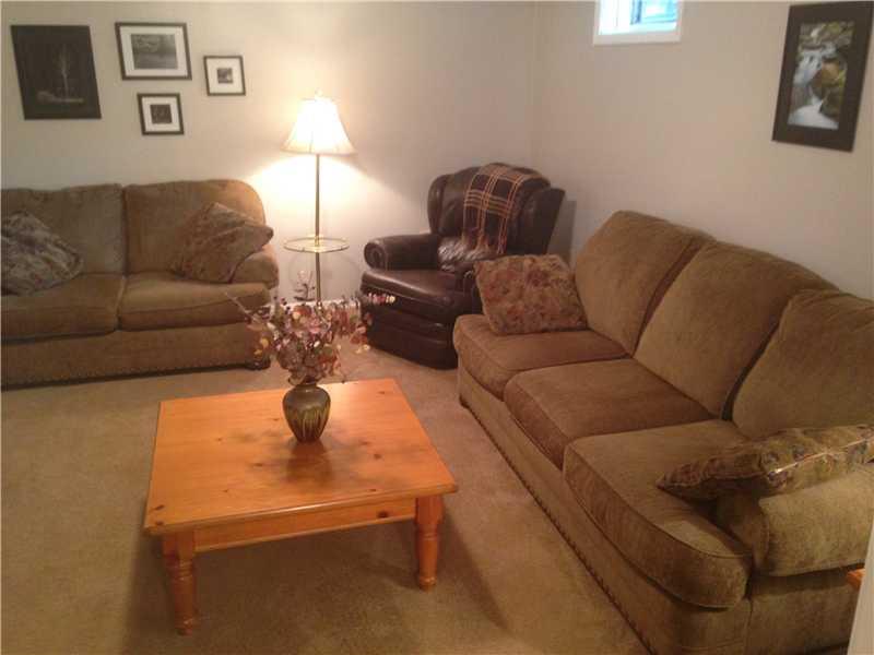116 Old Gate Road Level Green, PA 15085 - Photo 7 of 25 Basement/Game Room.
