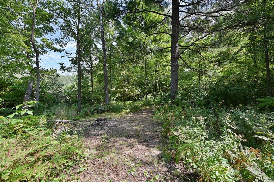 1-2 13 13 1/4 Street Rice Lake, WI 54868 - Photo 2 of 19