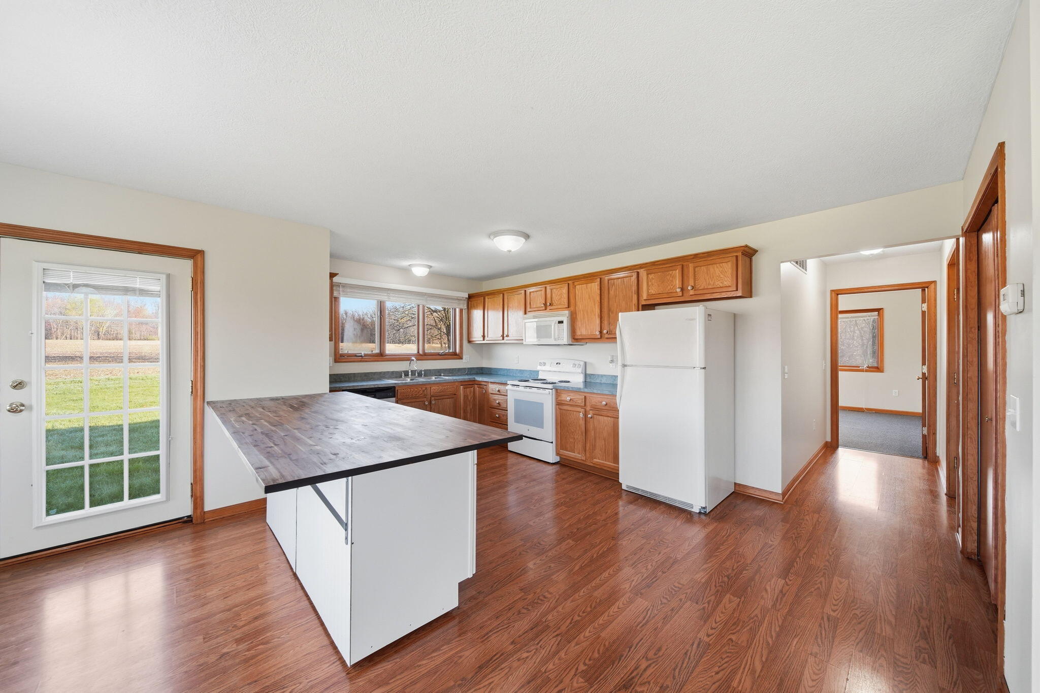 896 Fields Road Dansville, MI 48819 - Photo 8 of 41 13-web-or-mls-DSC08907