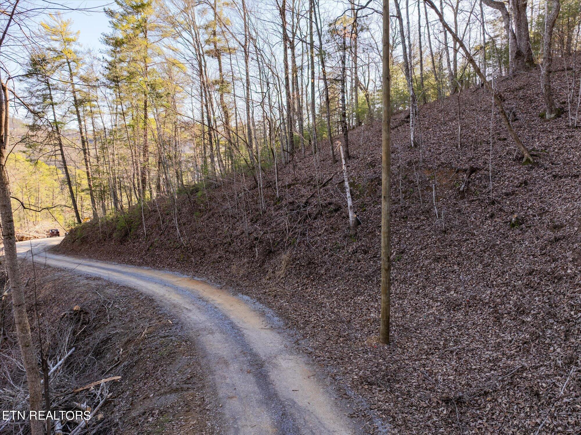 Sunset Drive Sevierville, TN 37862 - Photo 3 of 30 03-Sunset-Dr-Tennessee-37862-3