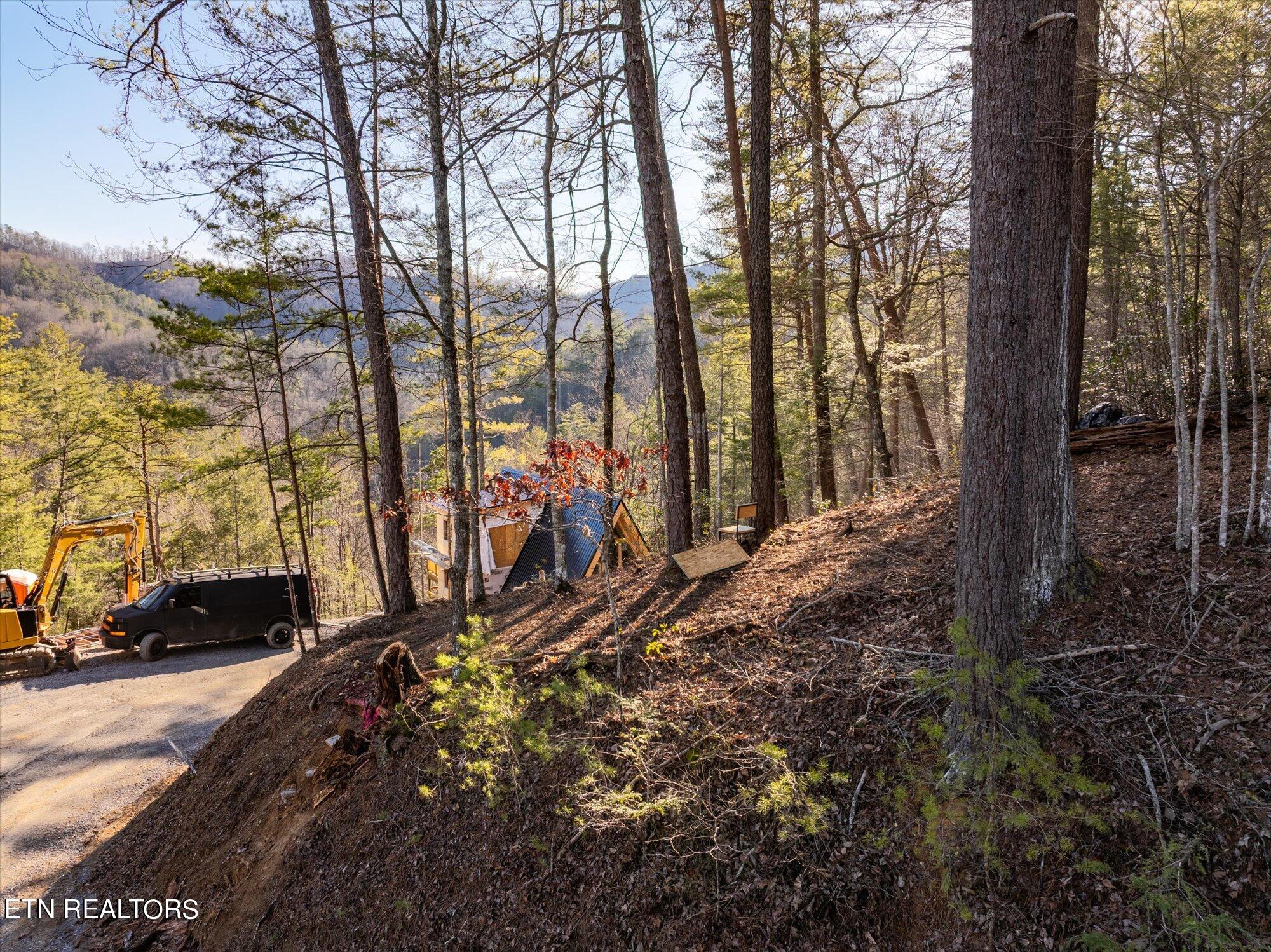 Sunset Drive Sevierville, TN 37862 - Photo 4 of 30 04-Sunset-Dr-Tennessee-37862-4